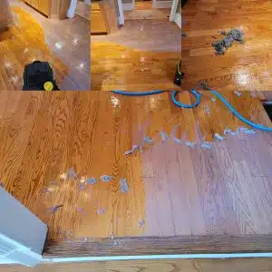 wax removal on wood floors