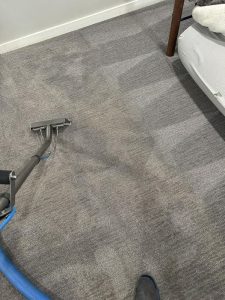 Professional carpet cleaning technician