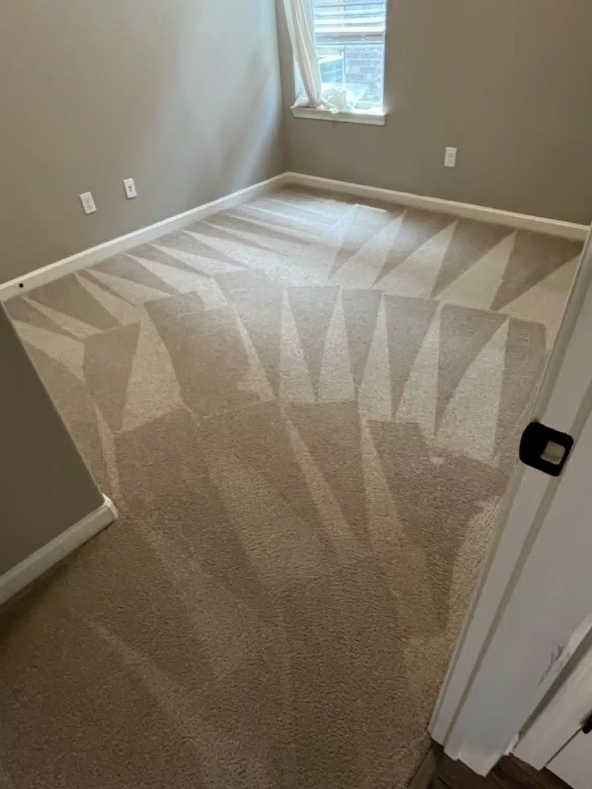 carpet cleaning Arlington TN before and after