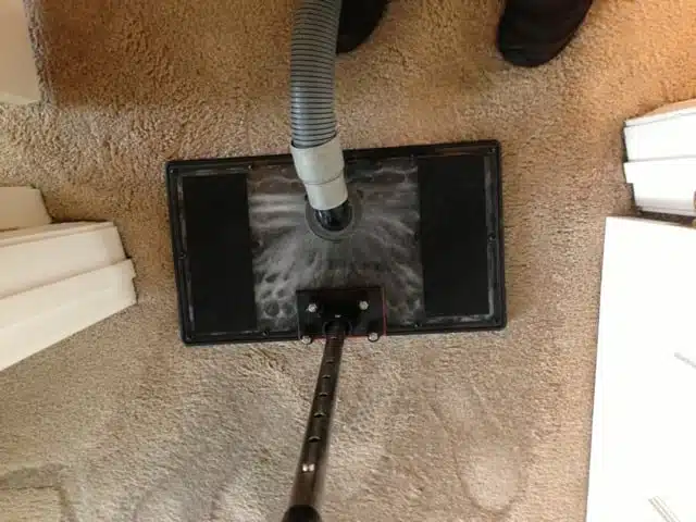 Pet Stain Removal with Water Claw Tool Arlington TN