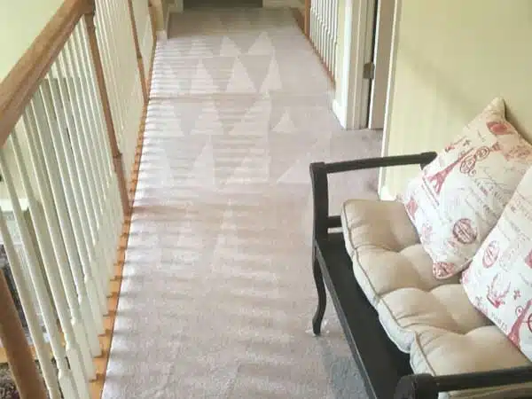 Carpet Cleaning in Bartlett TN