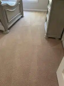 Carpet Cleaning