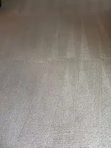 TN Carpet Cleaning After