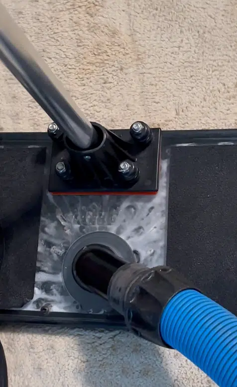 Germantown TN pet stain removal with water claw tool