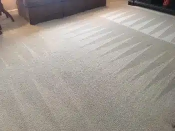 carpet cleaning