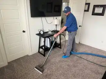 Carpet Cleaning in Collierville
