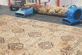 rug cleaning
