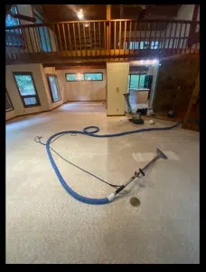 carpet cleaning before and after