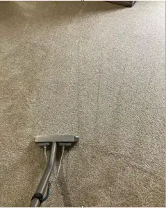 Carpet Cleaning