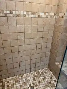 Collierville TN shower before professional cleaning