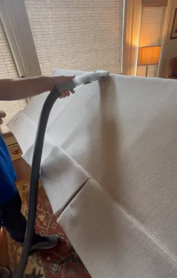 upholstery cleaning