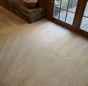 Carpet Cleaning After
