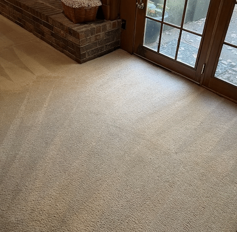 Pet Stains in Collierville removed