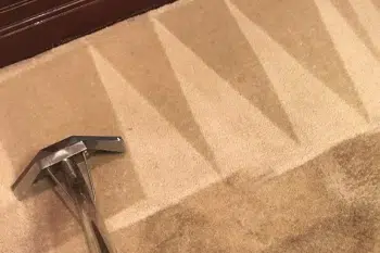 Deep carpet cleaning results