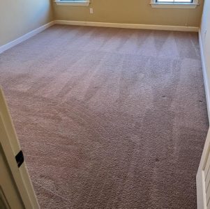 carpet cleaning in Millington