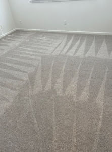 carpet cleaning