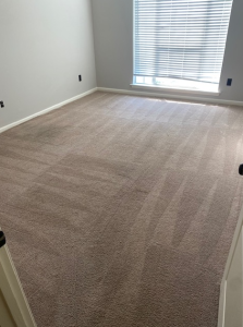 carpet cleaning