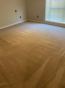 carpet cleaning