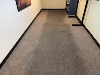 Professional commercial carpet cleaning in Collierville Tennessee