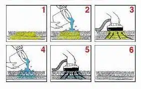 Advanced Pet Urine Removal with Water Claw Technology