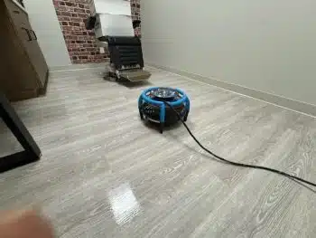 LVT floor restoration in Collierville TN